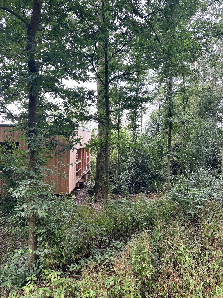 Skylark Treehouses Review: The Mind/Soul Reset