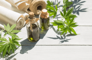 Hemp Buying 101: The Top Tips on behalf of Buying Hemp Products